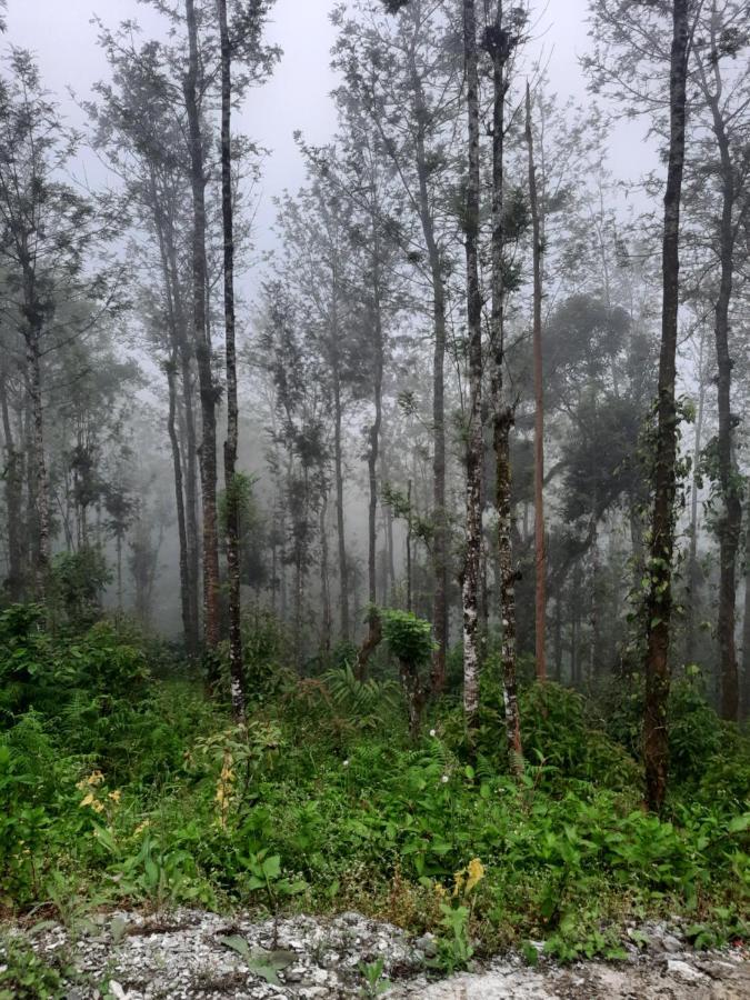Coorg Happy Estate Stay 马迪凯里 外观 照片